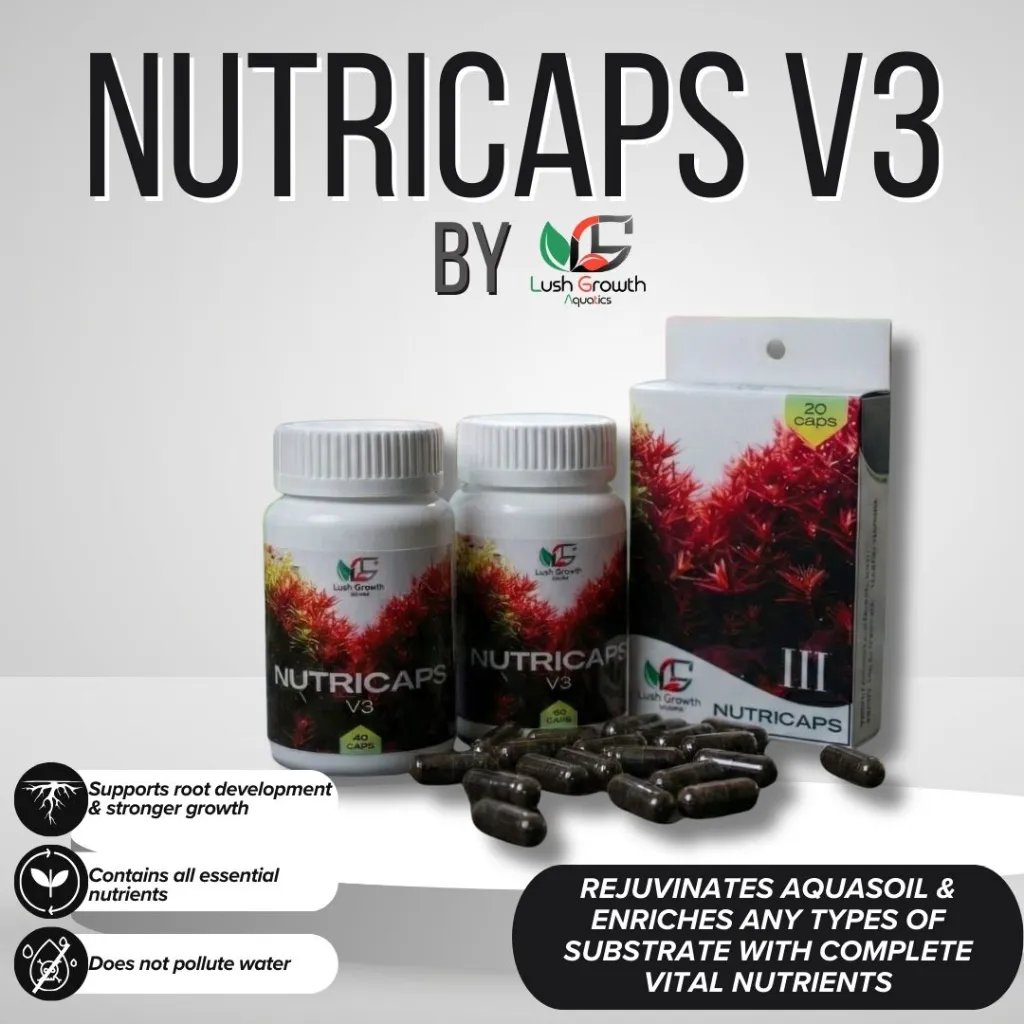 Grey and White Modern Electronic Product Listing Amazon Product Image.webp