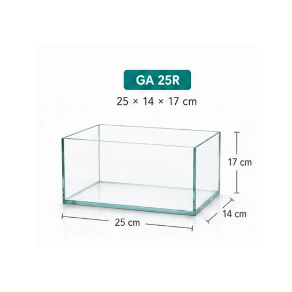 5.webp