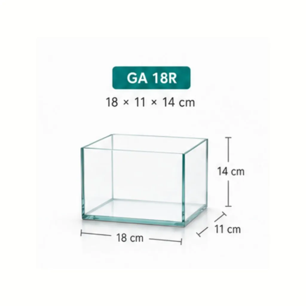 4.webp