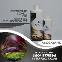 BALANCED NUTRITION_20250207_185551_0000.webp