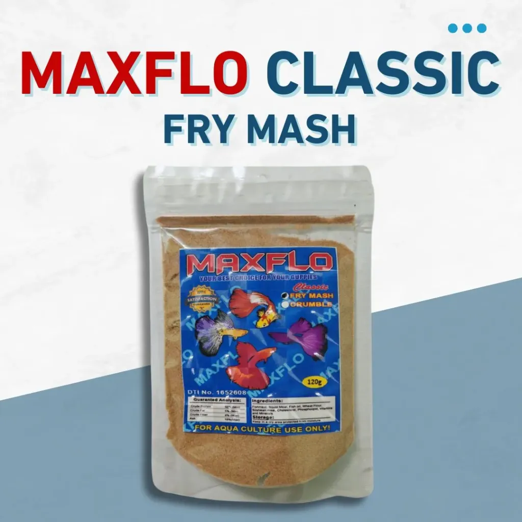 Maxflo Fry Mash 120g