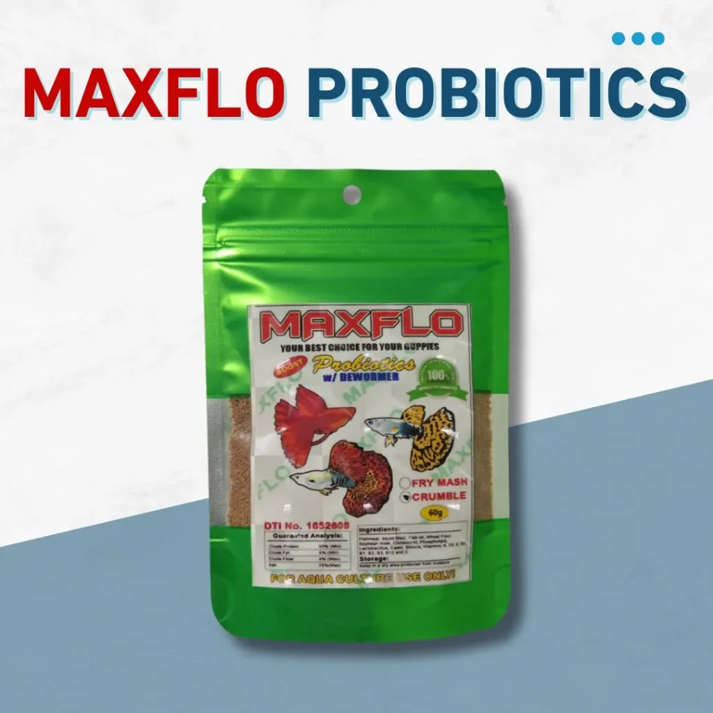 Maxflo Probiotics 120g