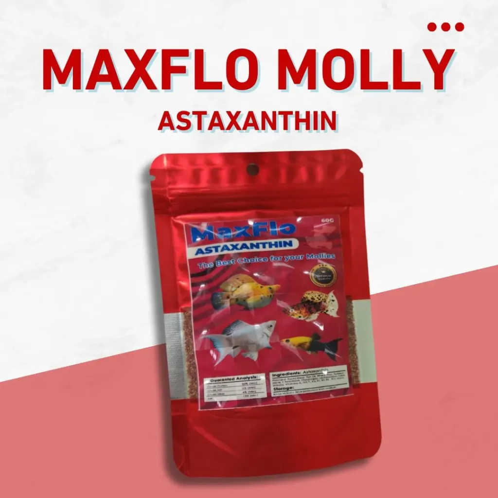 Maxflo Molly Astaxanthin 60g