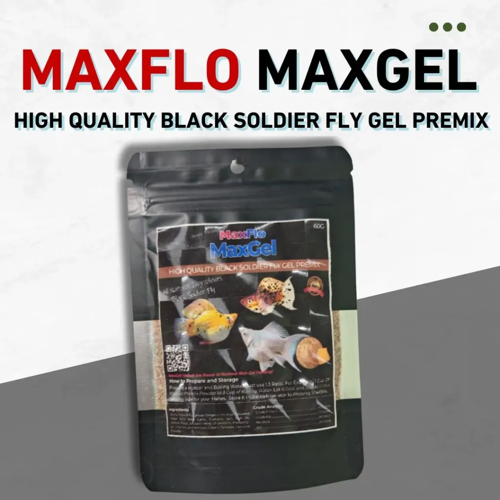 Maxgel Black Soldier Fly 60g