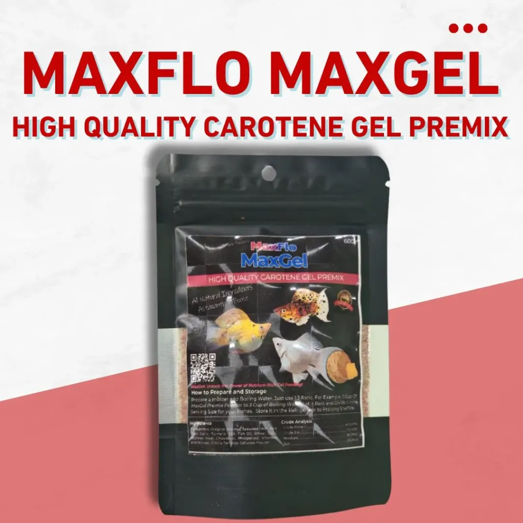 Maxgel Carotene 60g