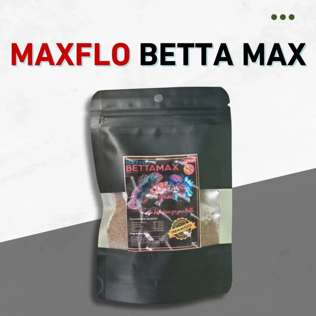 Maxflo Bettamax