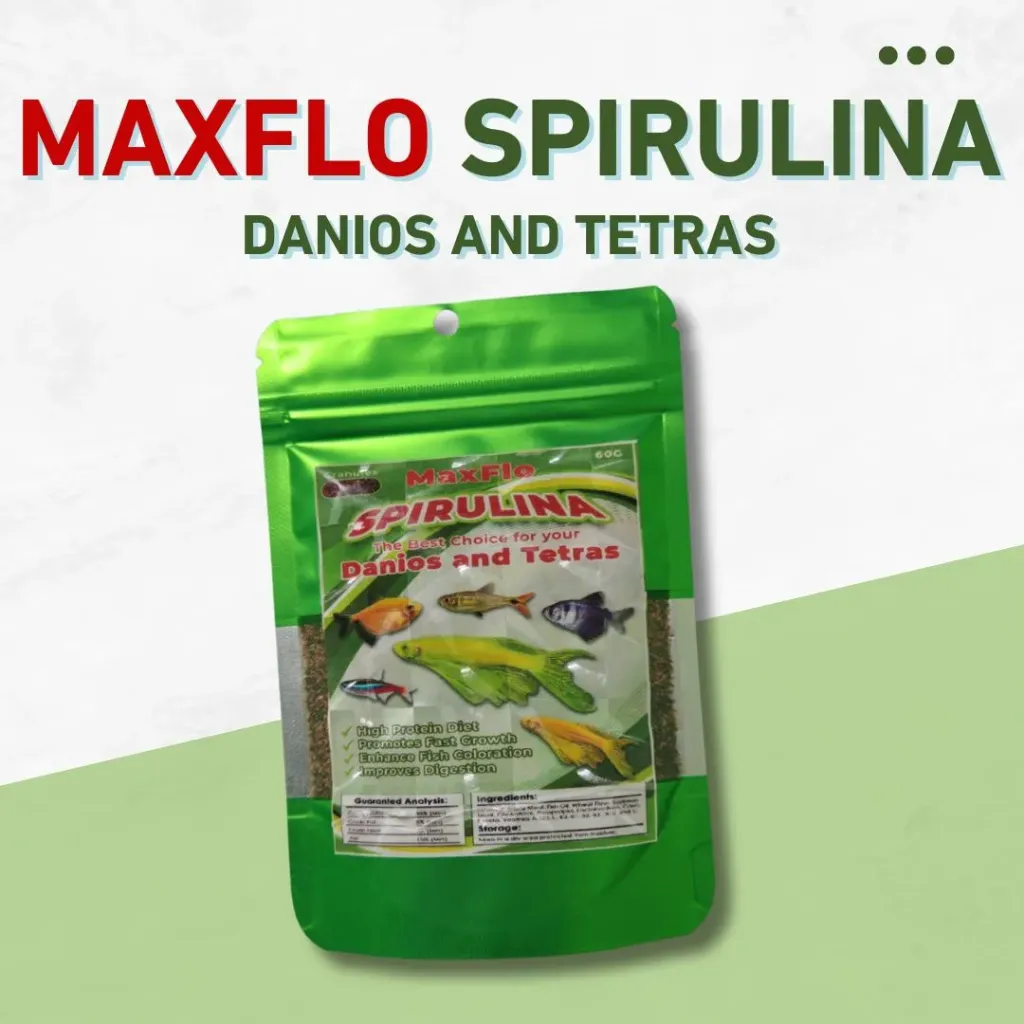 Maxflo Danios & Tetras Spirulina 60g