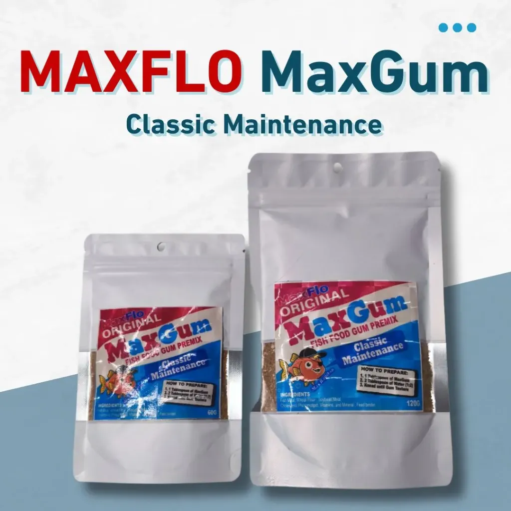 Maxgum Classic Maintenance 60g