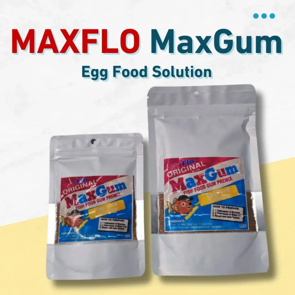 Maxgum Egg Food Solution 120g