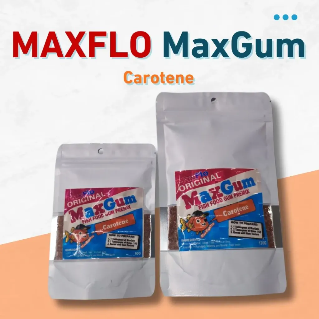 Maxgum Carotene 60g