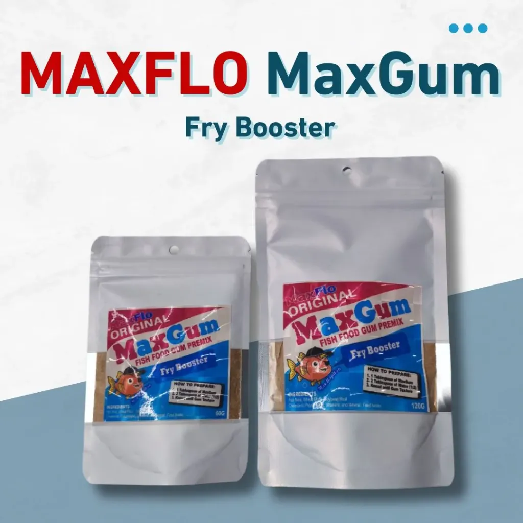 Maxgum Fry Booster 60g