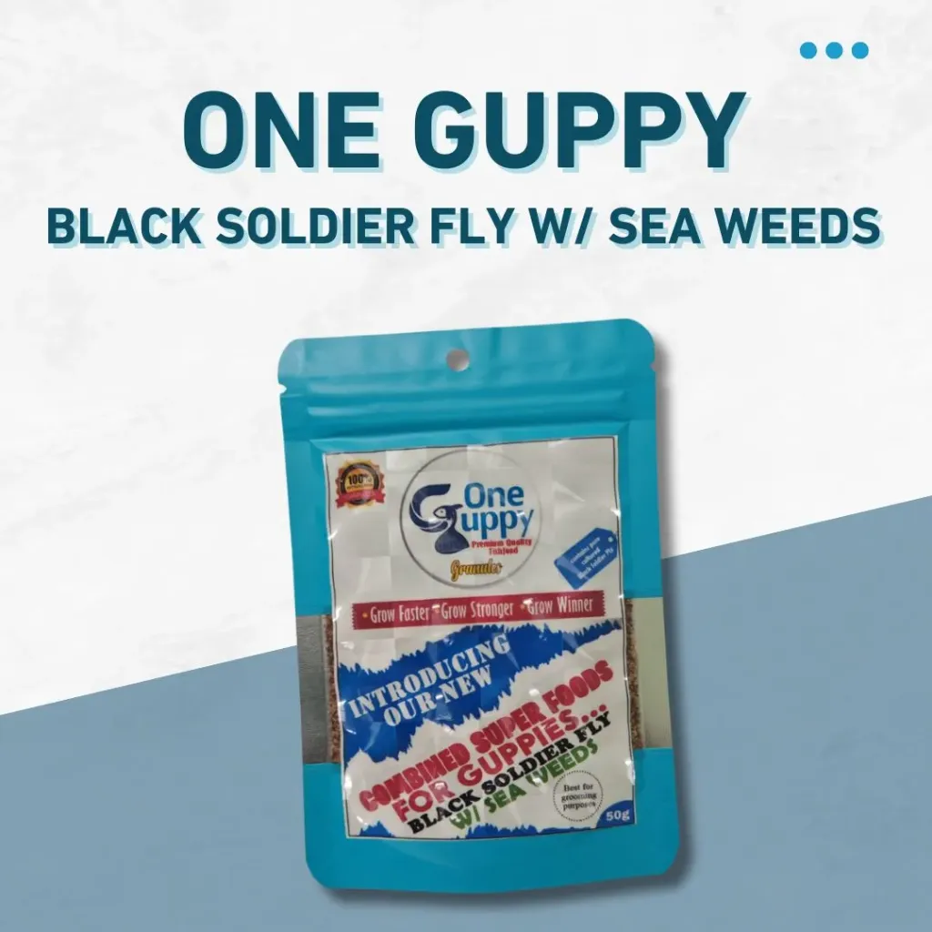 One Guppy Black Soldier Fly 50g