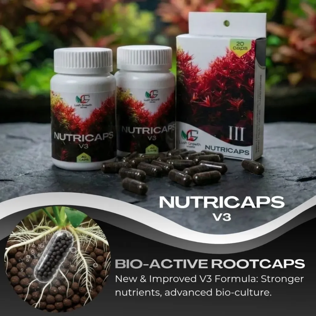 LGA Nutricaps V3 (20 Caps)