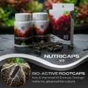 LGA Nutricaps V3